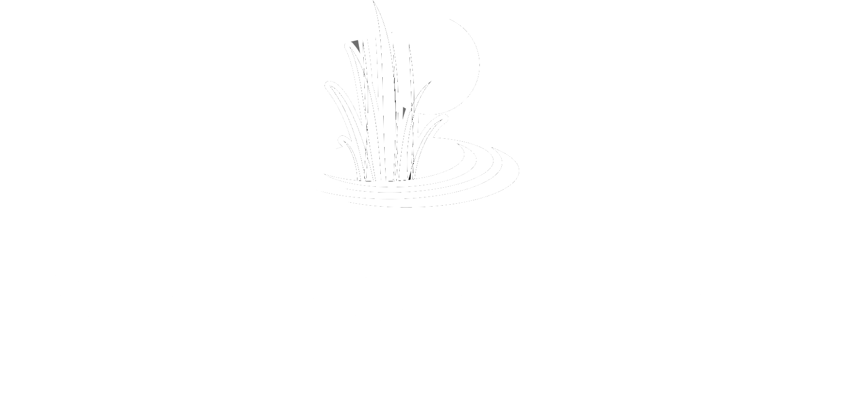 Meadow Lake Music